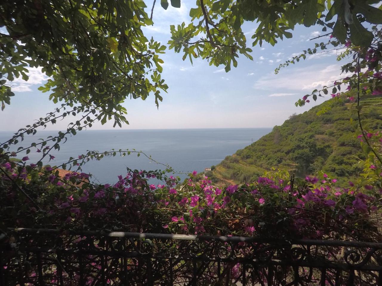 Cinqueterre Holidays Riomaggiore Exterior foto